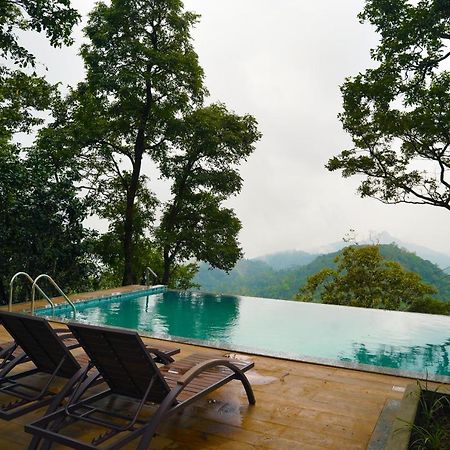 Elephant Passage Munnar Exteriör bild The swimming pool at the hotel