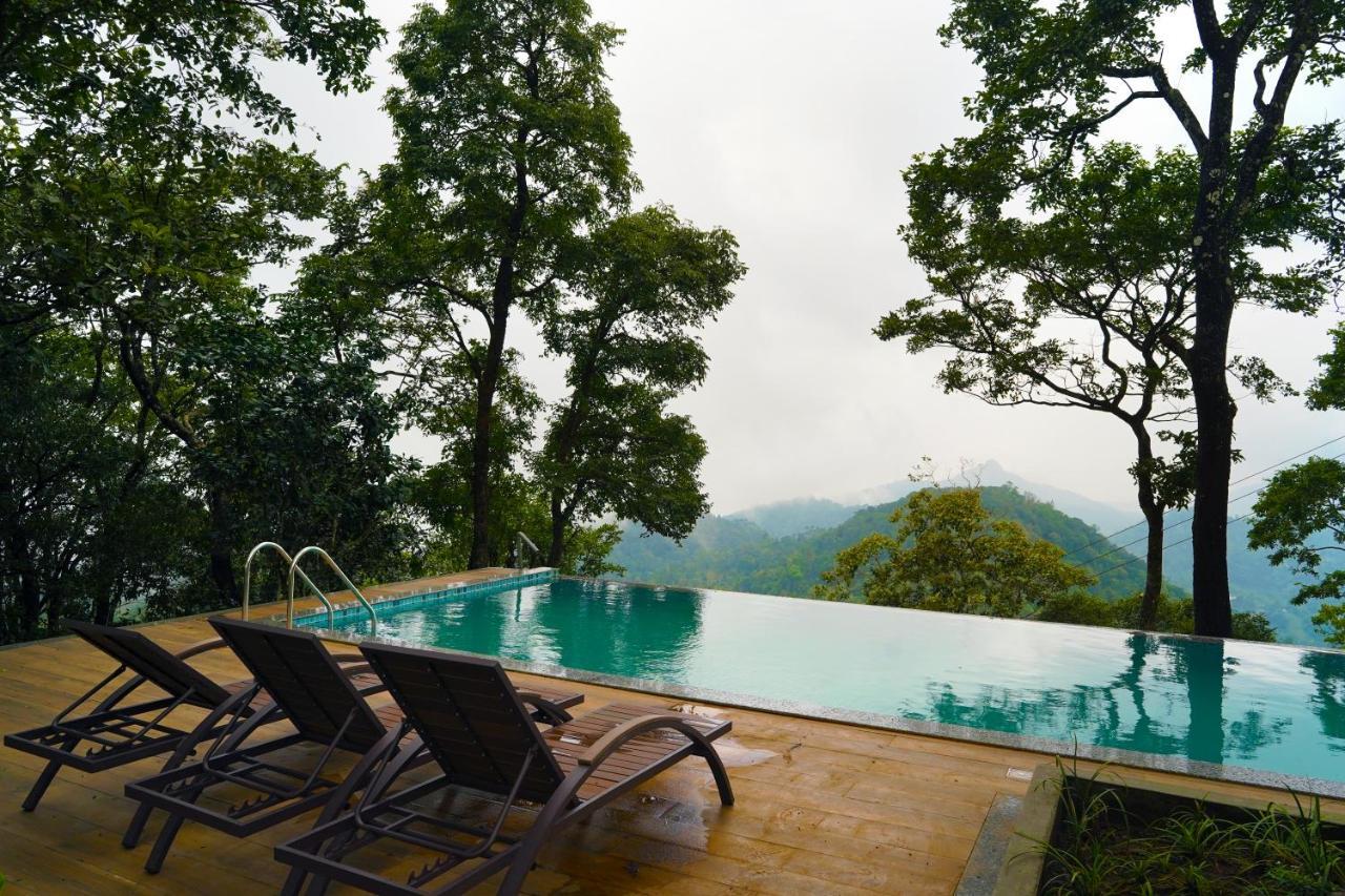 Elephant Passage Munnar Exteriör bild The swimming pool at the hotel