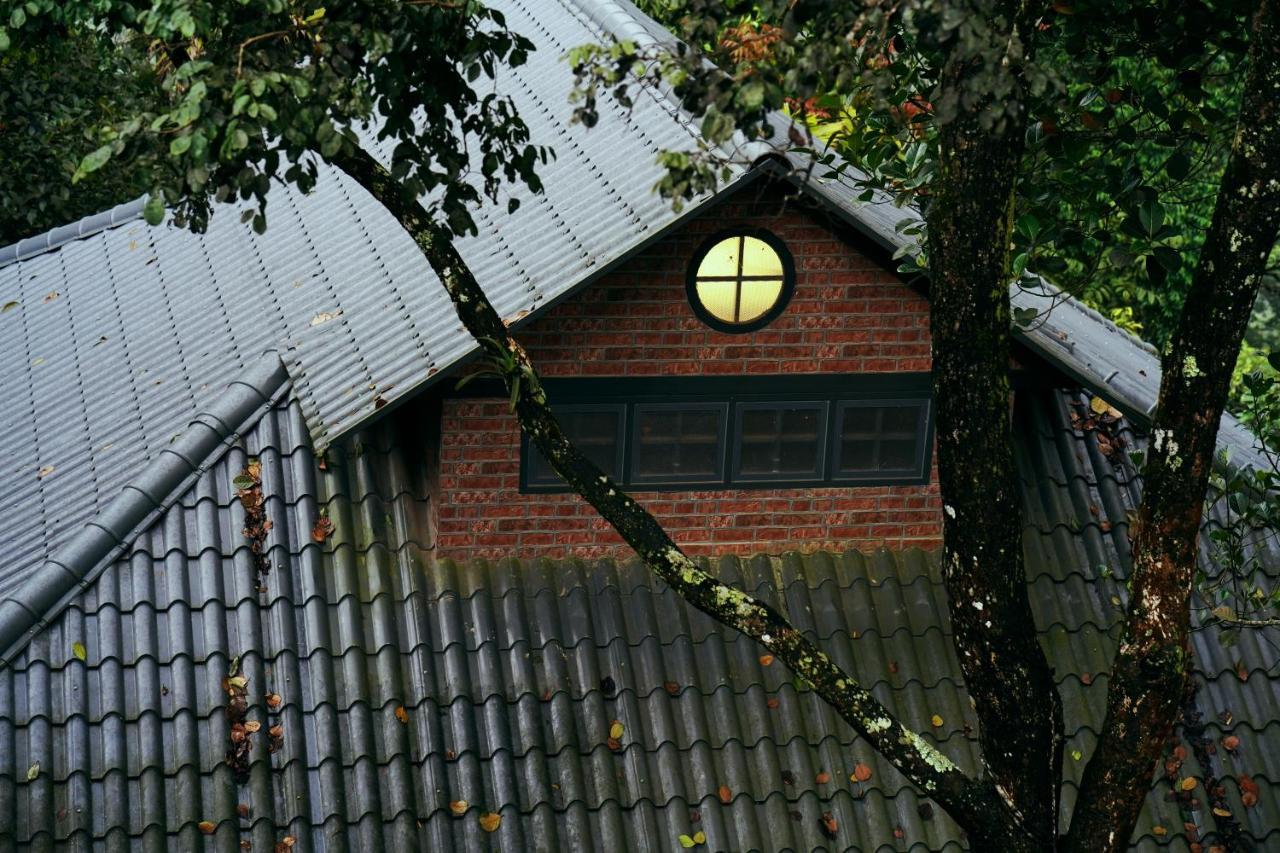 Elephant Passage Munnar Exteriör bild A roof with a dormer window